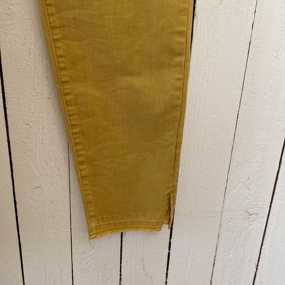 Cato Pants - Picture 4 of 8